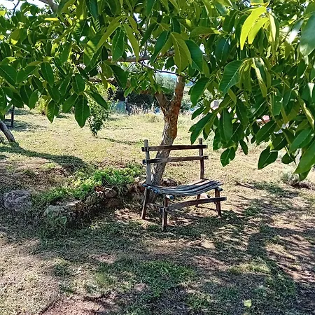 Bed & Breakfast Lugori Seulo