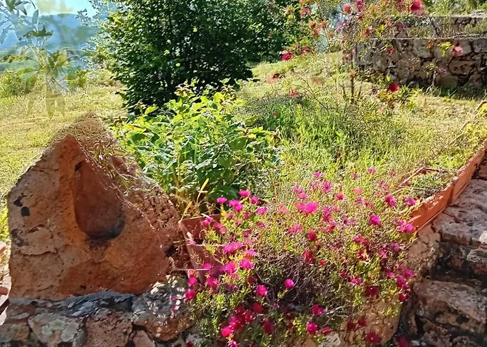 Bed & Breakfast Lugori 3*