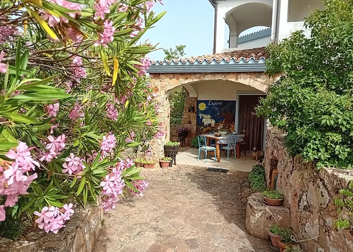 Bed & Breakfast Lugori