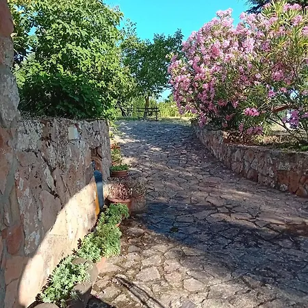 Bed & Breakfast Lugori Seùlo