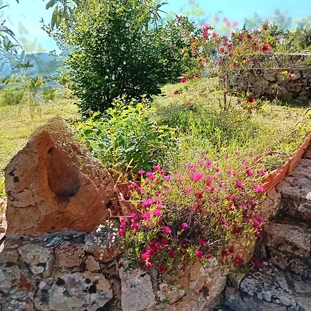 Bed & Breakfast Lugori *