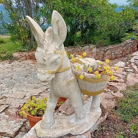 Lugori Bed & Breakfast