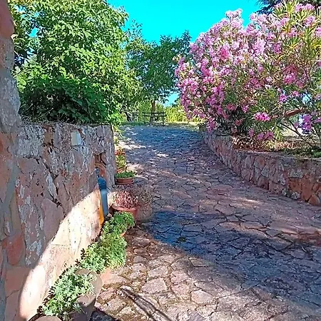 Lugori 3*