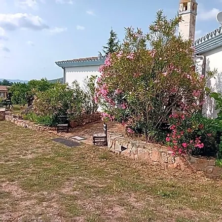 Lugori Seùlo