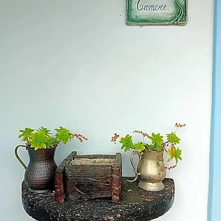 Bed & Breakfast Lugori